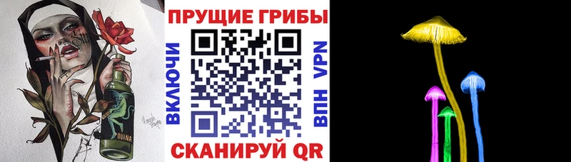 darknet клад  цена   Абдулино  Галлюциногенные грибы MAGIC MUSHROOMS 