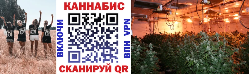 купить закладку Абдулино нарко площадка как зайти Бошки марихуана THC 21%